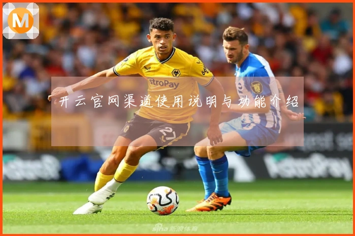 开云官网渠道使用说明与功能介绍